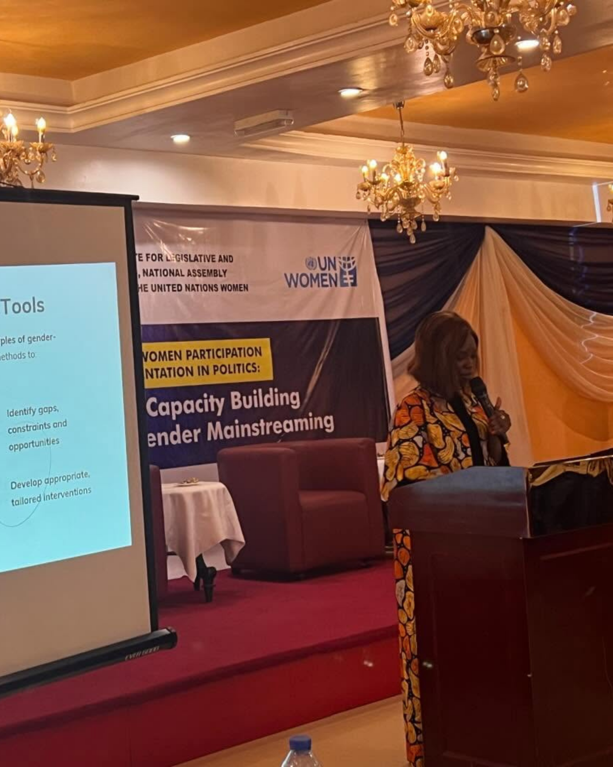 Mofoyeke Omole Engaging with Legislators and Aids
